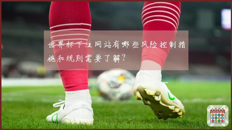 世界杯下注网站有哪些风险控制措施和规则需要了解？