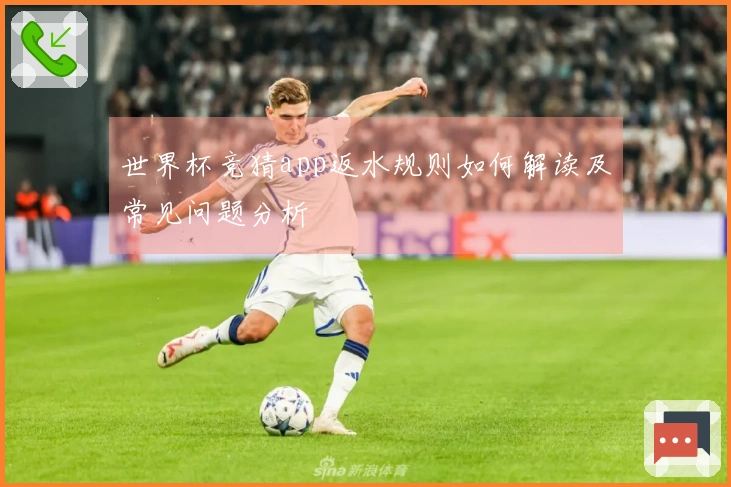世界杯竞猜app返水规则如何解读及常见问题分析