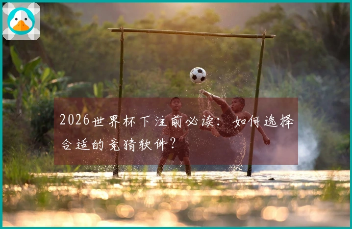 2026世界杯下注前必读：如何选择合适的竞猜软件？