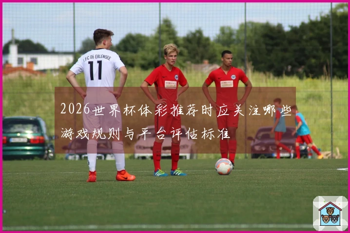2026世界杯体彩推荐时应关注哪些游戏规则与平台评估标准