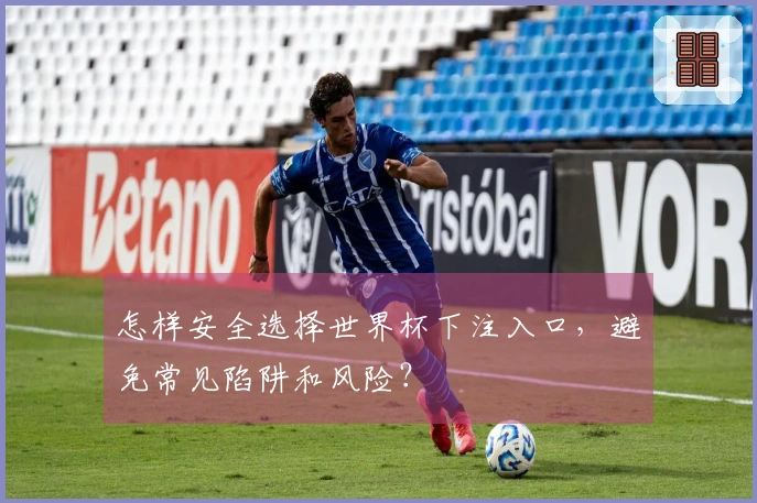 怎样安全选择世界杯下注入口，避免常见陷阱和风险？