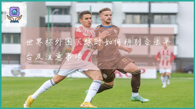 世界杯外围买球时如何辨别合法平台及注意事项