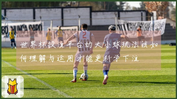 世界杯投注平台的大小球玩法该如何理解与运用才能更科学下注