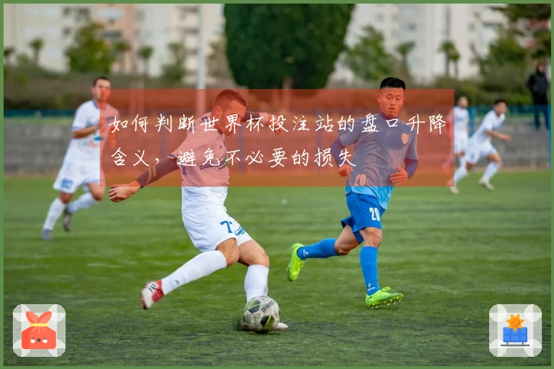 如何判断世界杯投注站的盘口升降含义，避免不必要的损失