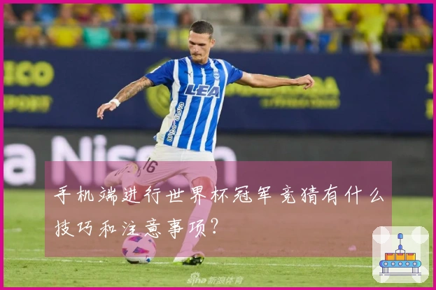 手机端进行世界杯冠军竞猜有什么技巧和注意事项？
