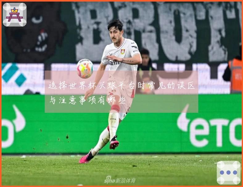 选择世界杯买球平台时常见的误区与注意事项有哪些