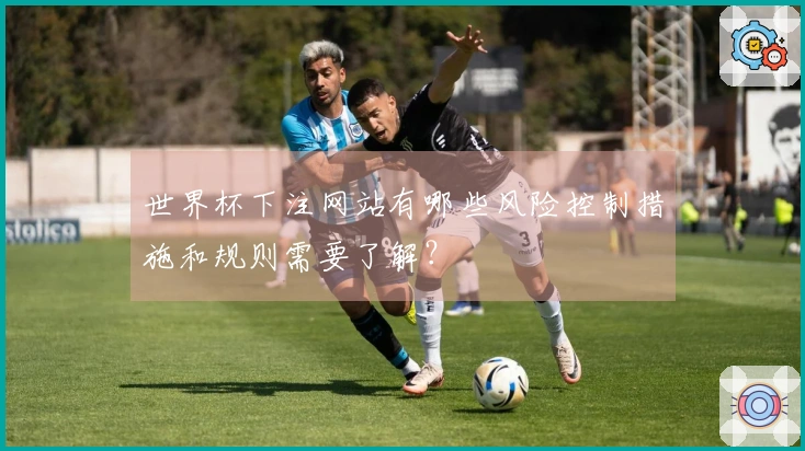 世界杯下注网站有哪些风险控制措施和规则需要了解？